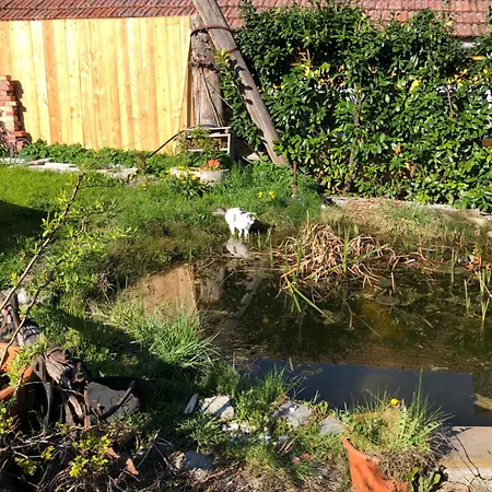 Hof Zum Kleinod - Erholung Für Ganze Familie Im Wienerwald Apartment