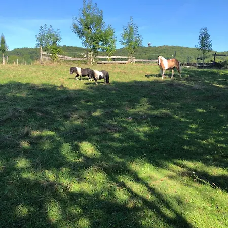 Hof Zum Kleinod - Erholung Fuer Ganze Familie Im Wienerwald *