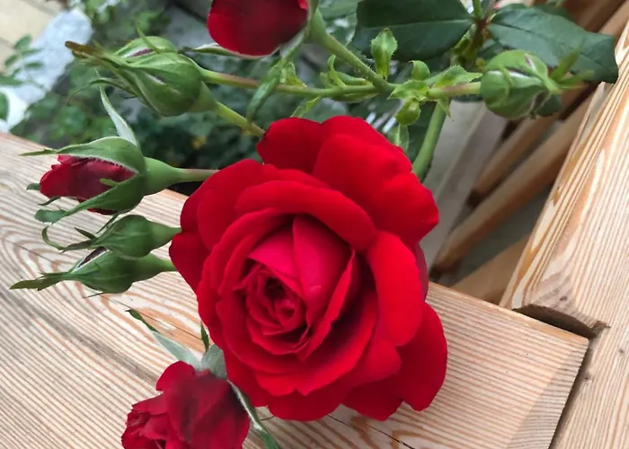 Hof Zum Kleinod - Erholung Fuer Ganze Familie Im Wienerwald * Burgstall