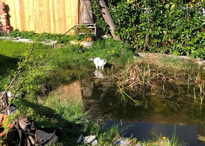 Hof Zum Kleinod - Erholung Fuer Ganze Familie Im Wienerwald Apartment
