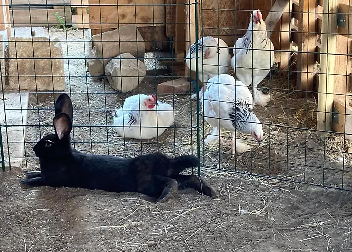 Apartment Hof Zum Kleinod - Erholung Fuer Ganze Familie Im Wienerwald