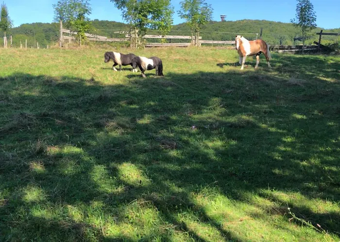 Hof Zum Kleinod - Erholung Fuer Ganze Familie Im Wienerwald *