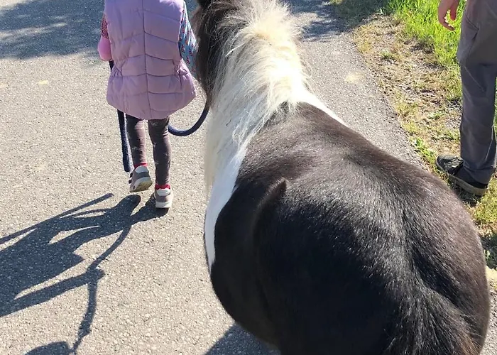 Hof Zum Kleinod - Erholung Fuer Ganze Familie Im Wienerwald * Burgstall