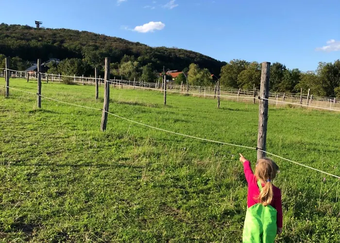 Apartment Hof Zum Kleinod - Erholung Fuer Ganze Familie Im Wienerwald